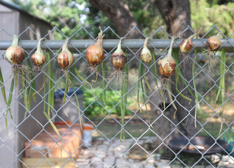 Organic Gardening